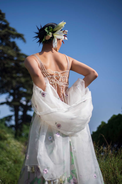 Baavli designer store in khan market. Launching bahaar spring summer 2024 collection, Raabta, Organza sharara set.