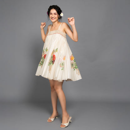 Baavli designer luxury dress