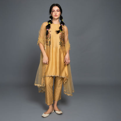 Baavli designer golden luxury suit let