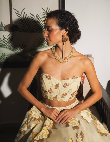 Pitambra Corset